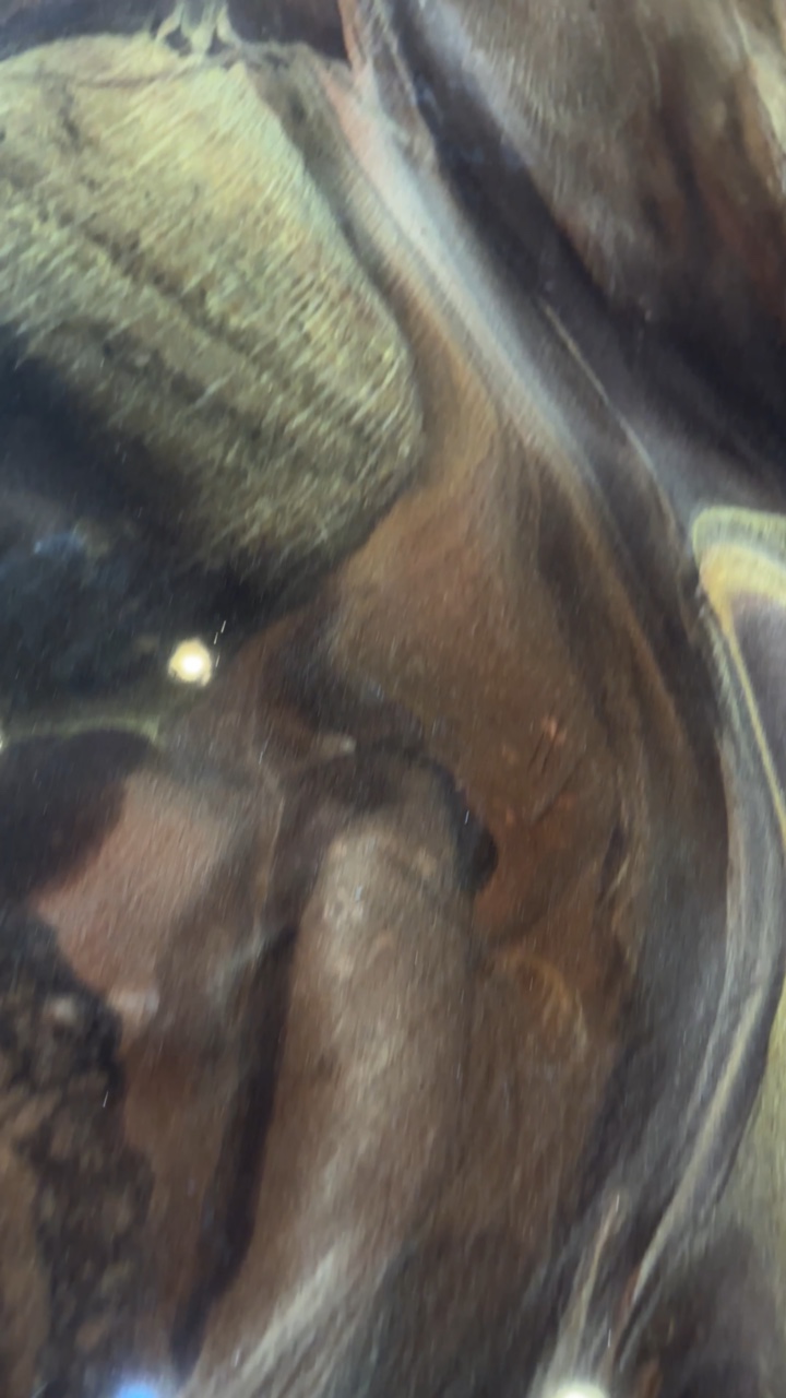 Liquid Metallic Marble Floor Video Tour